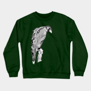 Drawing conversion of Harris Hawk Crewneck Sweatshirt